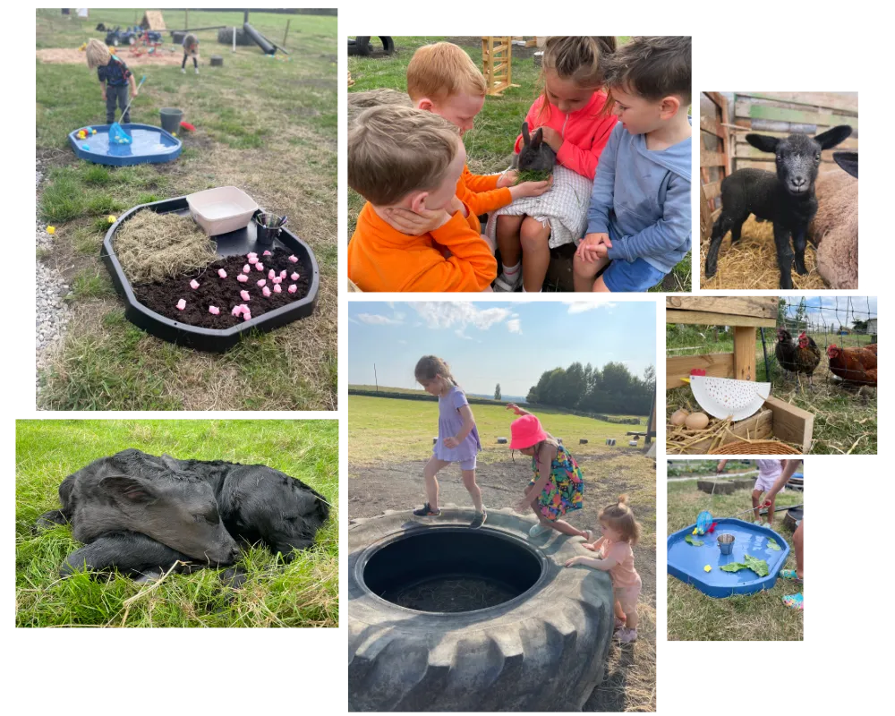 Little Farmers Cabin photo collage